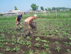 post-4269-0-44077600-1340274975_thumb.jp