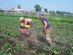 post-4269-0-50784700-1340275055_thumb.jp