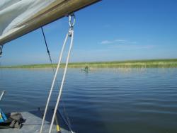 post-4269-0-51778500-1339661860_thumb.jp