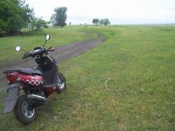 post-4269-0-68313400-1339115294_thumb.jp