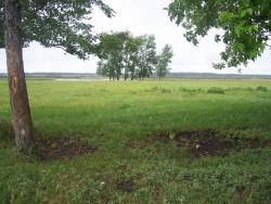 post-4269-0-84849400-1339115448_thumb.jp