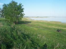 post-4269-0-91588100-1338625956_thumb.jp