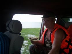 post-4269-0-99372600-1339461271_thumb.jp