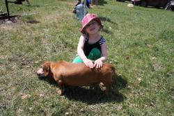 post-4485-0-43655000-1340020126_thumb.jp