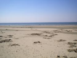 post-4632-0-54328900-1339340770_thumb.jp