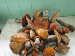 post-4655-0-54751600-1339577655_thumb.jp