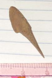 post-4732-0-55364100-1340017093_thumb.jp