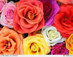 post-4989-0-63071200-1340596817_thumb.jp