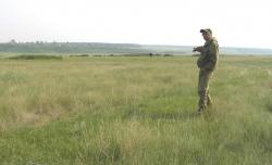 post-5029-0-52408300-1340461916_thumb.jp