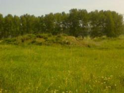 post-5328-0-34819800-1339417681_thumb.jp