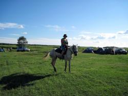 post-5575-0-42467100-1340162293_thumb.jp