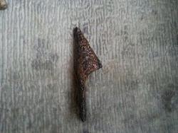 post-6110-0-13738100-1338644900_thumb.jp