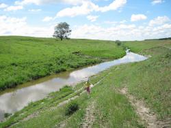 post-6245-0-85209500-1339939900_thumb.jp