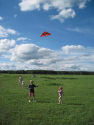 post-6245-0-86527500-1339940147_thumb.jp