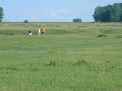 post-6629-0-50029800-1339917024_thumb.jp