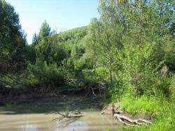 post-6726-0-23190800-1340477971_thumb.jp