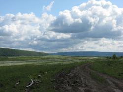 post-6726-0-47510400-1338818353_thumb.jp