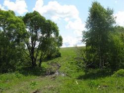 post-6726-0-86189600-1338981126_thumb.jp