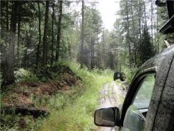 post-6954-0-04816900-1338983943_thumb.jp