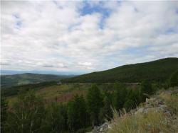 post-6954-0-69597900-1338983927_thumb.jp