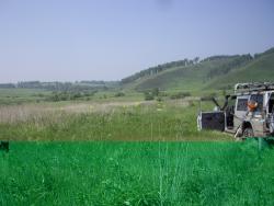 post-7090-0-35981100-1340847846_thumb.jp