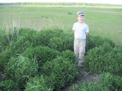 post-7597-0-80476800-1338910504_thumb.jp