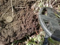 post-7895-0-37148500-1338997011_thumb.jp