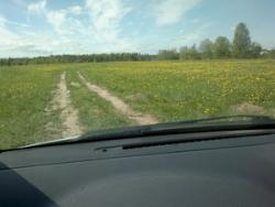 post-7895-0-78792100-1338997007_thumb.jp