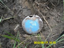 post-9966-0-43281600-1339940264_thumb.jp