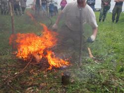 post-1028-0-43296700-1371981446_thumb.jp