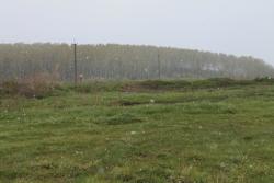 post-10696-0-35475800-1370179759_thumb.j