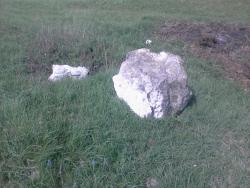 post-11786-0-61989000-1372276022_thumb.j