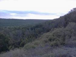 post-11786-0-74494600-1372276191_thumb.j