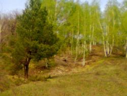 post-11786-0-83733600-1372275951_thumb.j