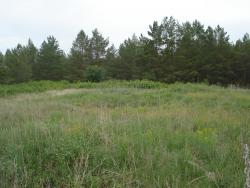 post-12373-0-03443600-1370243785_thumb.j