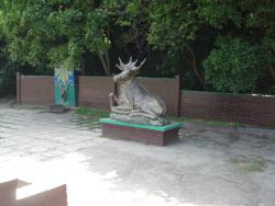 post-12373-0-07452500-1370860441_thumb.j