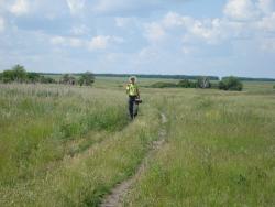 post-12373-0-08255000-1370863189_thumb.j