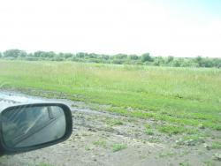 post-12373-0-09031700-1370862504_thumb.j