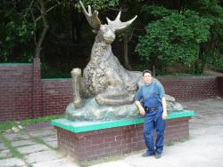 post-12373-0-43091500-1370862434_thumb.j