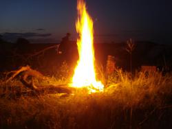 post-12373-0-43207600-1370865060_thumb.j