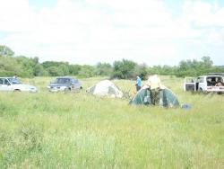 post-12373-0-53411700-1370862636_thumb.j