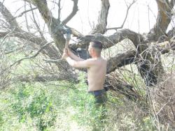 post-12373-0-59478400-1370862834_thumb.j