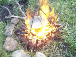 post-12373-0-64853200-1370864712_thumb.j