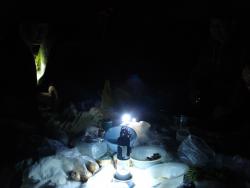 post-12373-0-76136000-1370865195_thumb.j