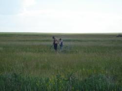 post-12373-0-83132100-1370863075_thumb.j