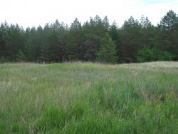 post-12373-0-85567900-1370243804_thumb.j