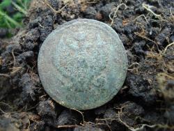 post-12373-0-89776600-1371129597_thumb.j