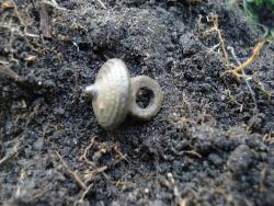 post-12373-0-95086400-1371128570_thumb.j