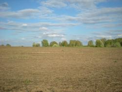 post-12551-0-87064300-1370787539_thumb.j