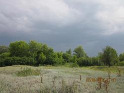 post-12688-0-06923700-1372624088_thumb.j